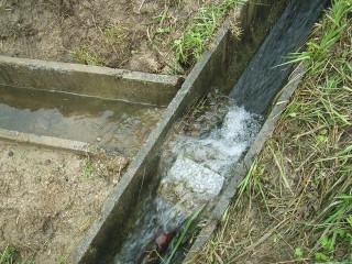 水管理不要の給水路を作りました